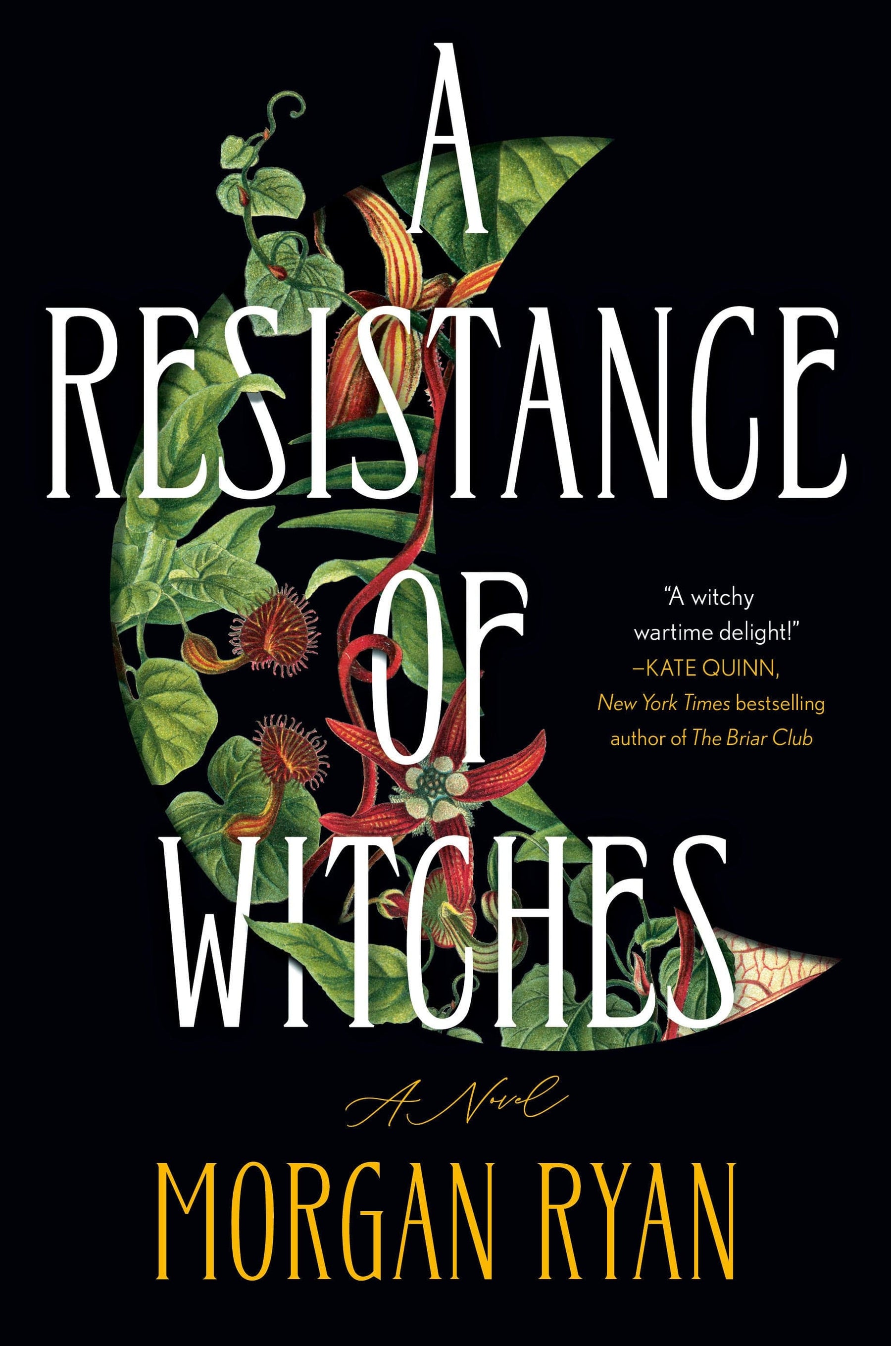 Penguin Publishing Group Graphic Novel A Resistance of Witches HC 9780593831960 PRH-9780593831960