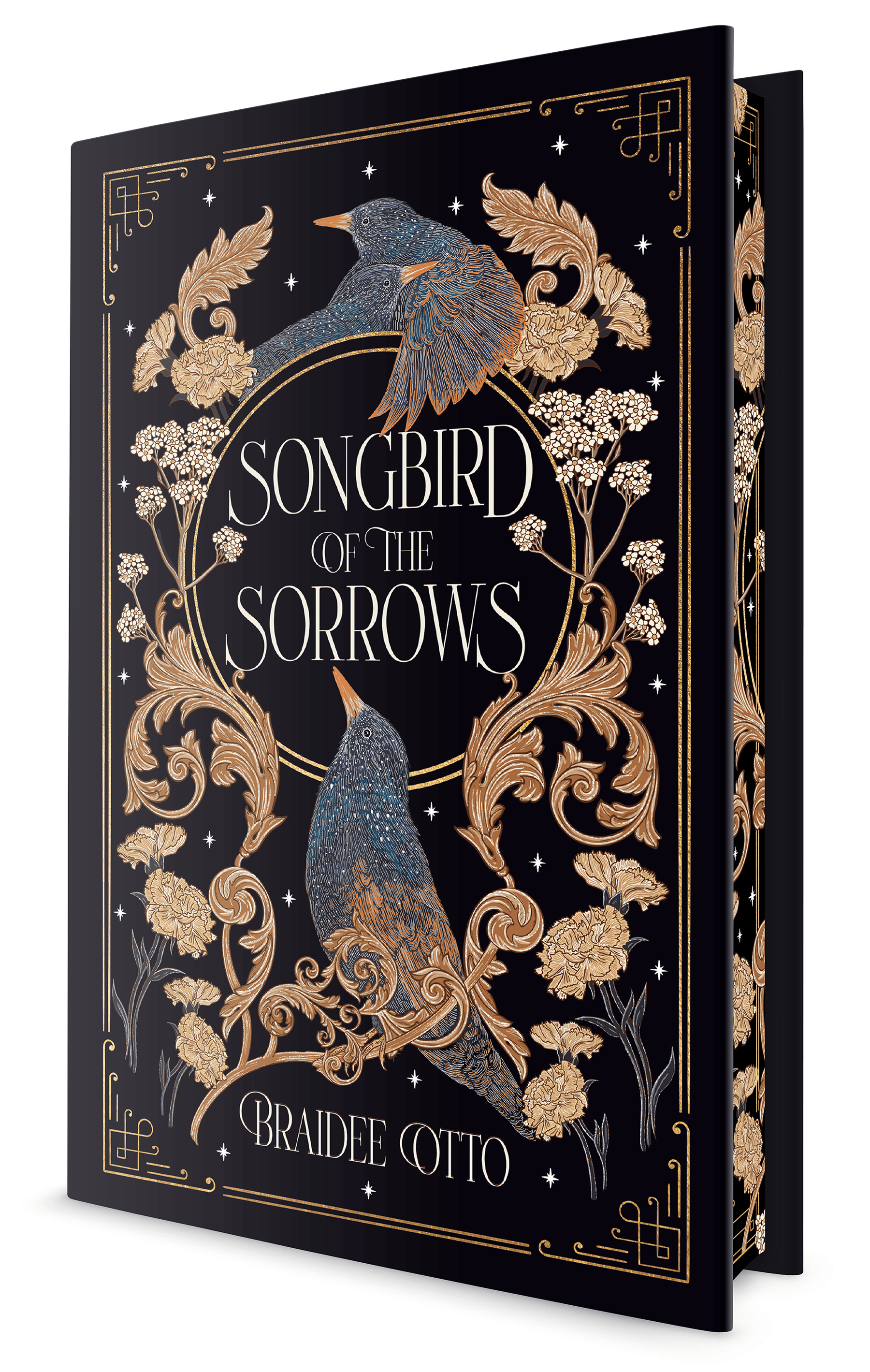 Penguin Random House Graphic Novel Songbird of the Sorrows 9798217153824 PRH-9798217153824