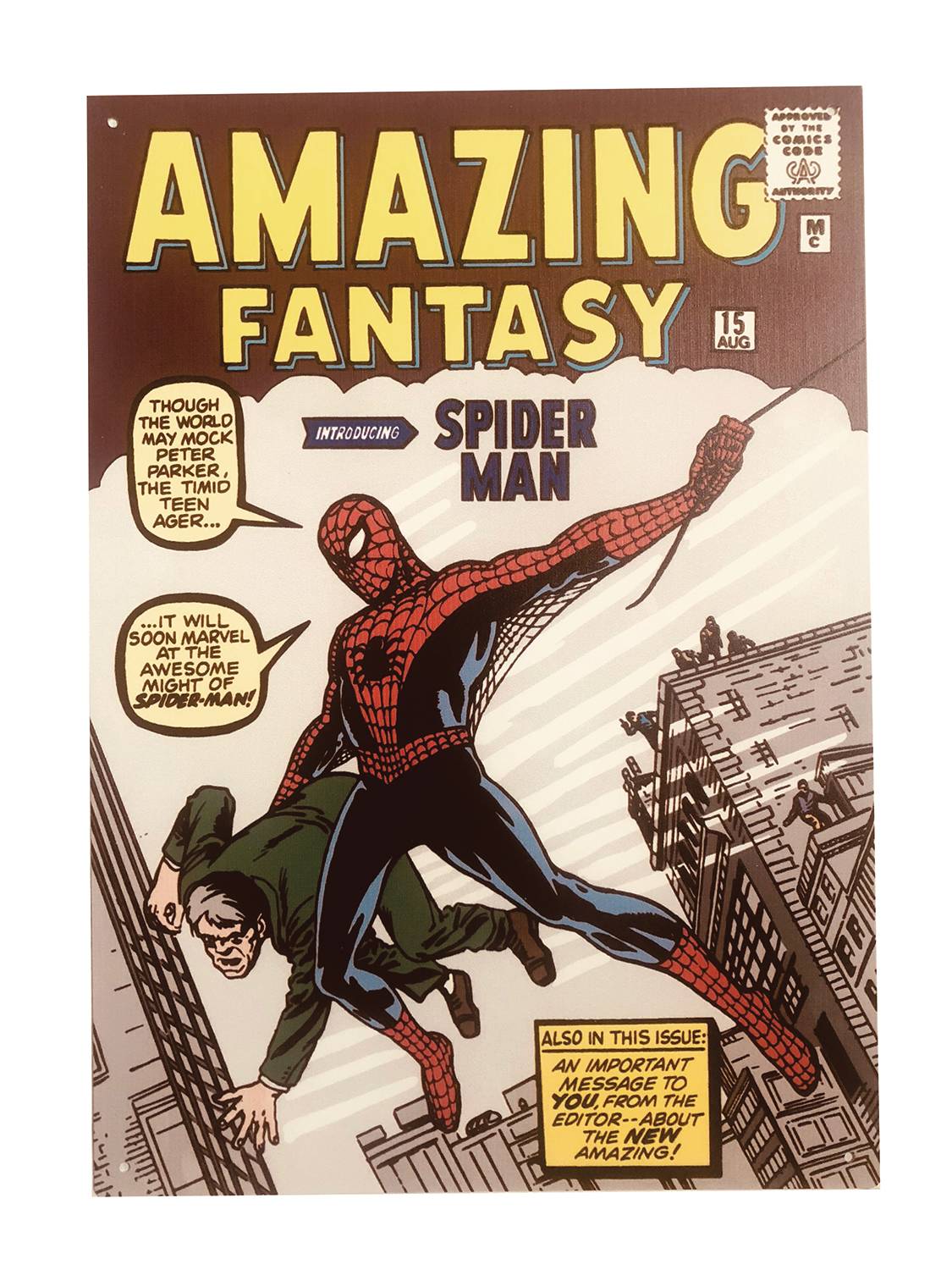 Popfun Decor > Other Decor Popfun: Metal Sign - Amazing Fantasy, Introducing Spider-Man 18072828