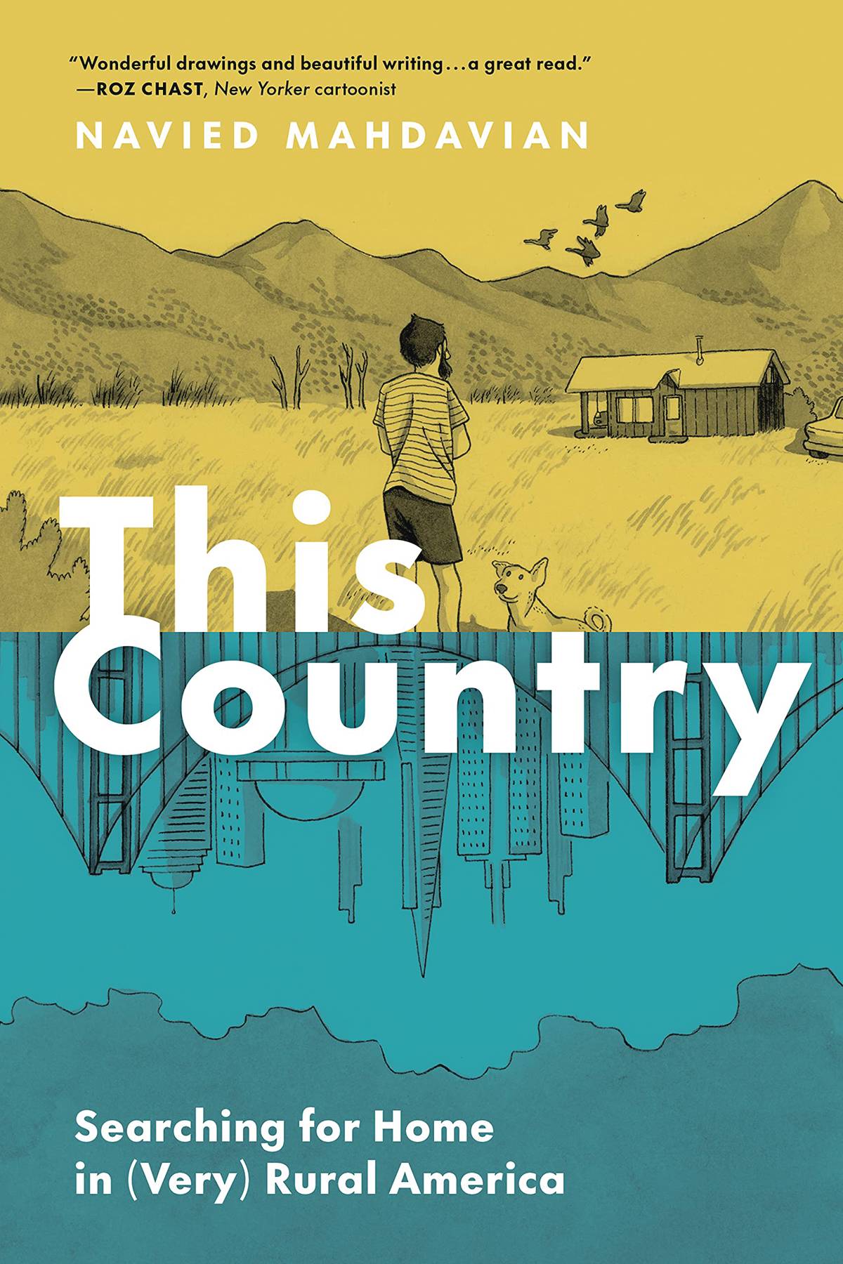 PRINCETON ARCHITECTURAL PRESS Graphic Novel This Country Searching For Home In Very Rural America GN 9781797223674 JUL231895