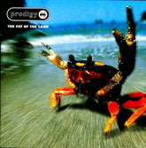 Prodigy Music > Vinyl Records Prodigy - Fat of the Land [US] 634904012113 BQTX40121.1