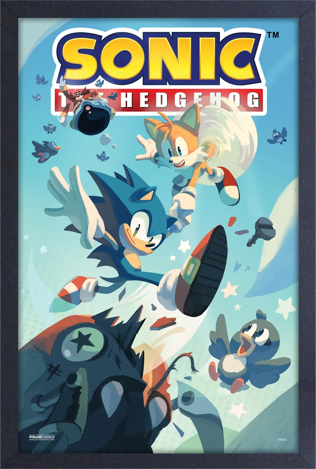 Pyramid America Home > Decor > Wall Art Sonic the Hedgehog - Flying Birds (11"x17" Gel-Coat) 638211226331 PAE83589F