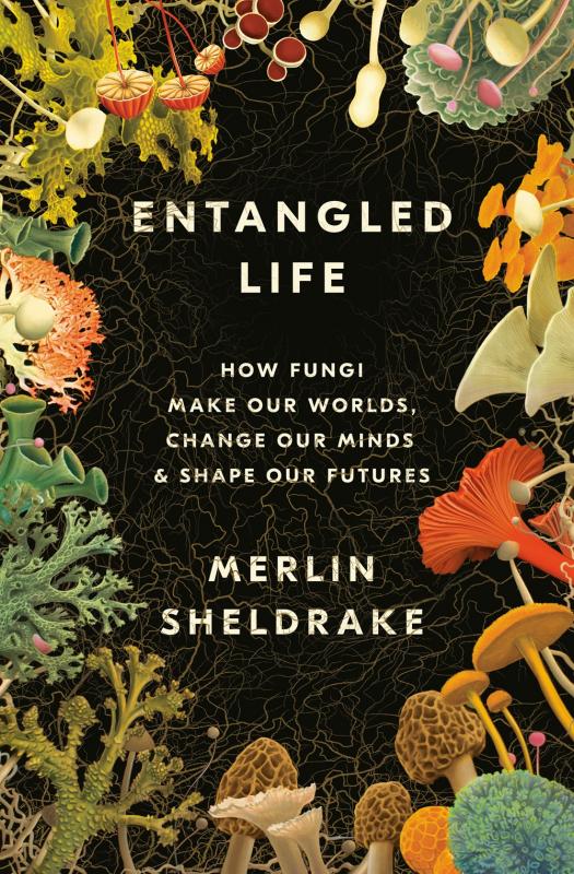 Entangled Life: How Fungi Make Our Worlds, Change Our Minds & Shape Our Futures (Hardcover)