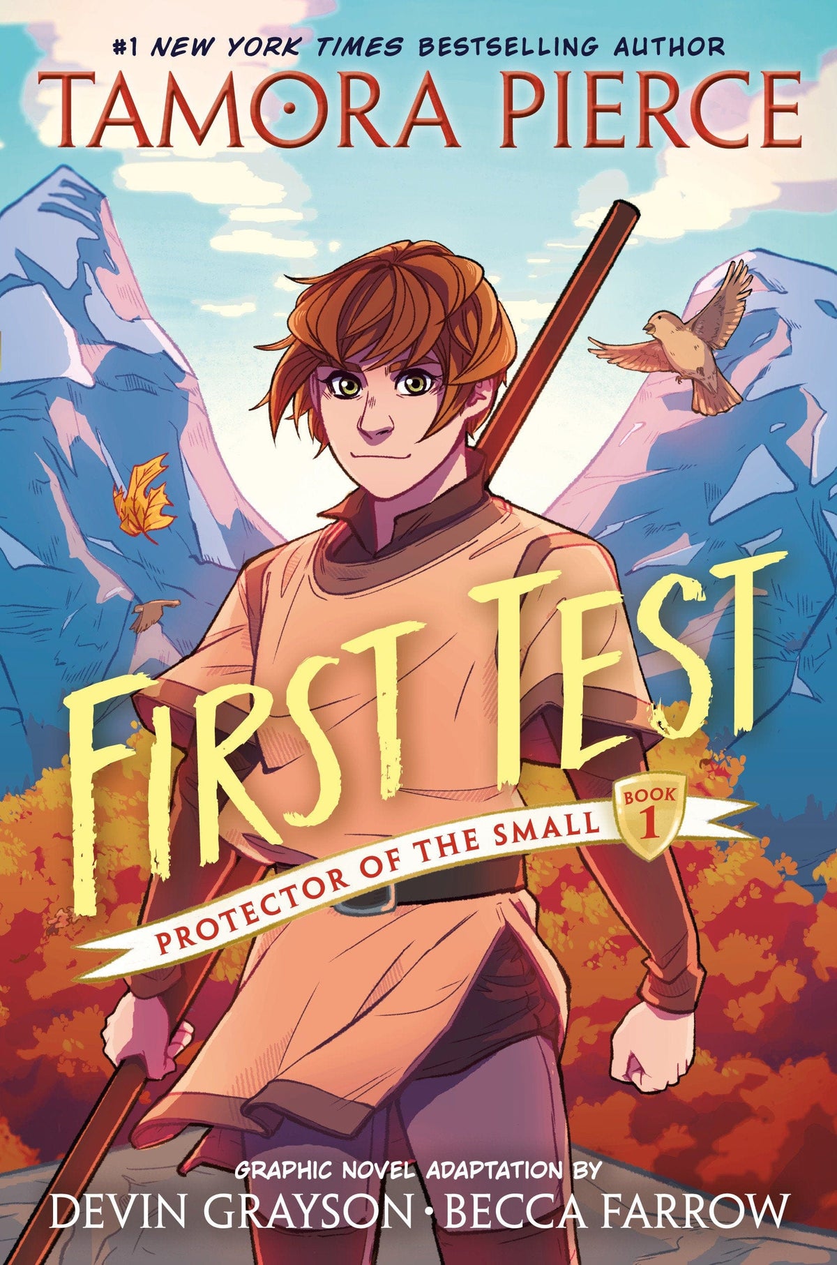First Test Graphic Novel Hardcover