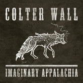 RCA Music > Compact Discs Colter Wall -  Imaginary Appalachia (Softpak) 196588300127 RCA883001.2