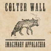 RCA Music > Vinyl Records Colter Wall - Imaginary Appalachia (Colored Vinyl, Green, Anniversary Edition, Gatefold LP Jacket) 198029117912 RCA802911.1