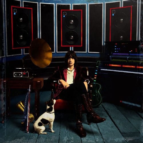 RCA Music > Vinyl Records Julian Casablancas - Phrazes for the Young 886974842118 RCA748421.1