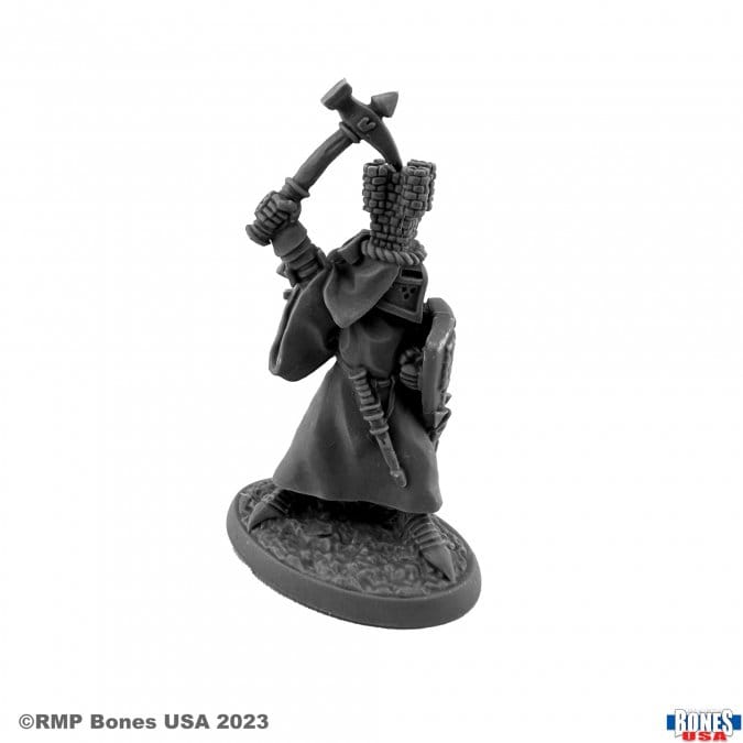 Reaper Miniatures Miniatures > Reaper Bones Legends: Sir Roland the Grey 762486301520 RPR30152