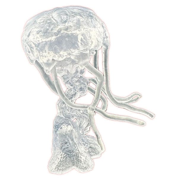 Reaper Miniatures Miniatures > Reaper Reaper Miniature - Bones Black: Dire Jellyfish 762486441929 REM44192