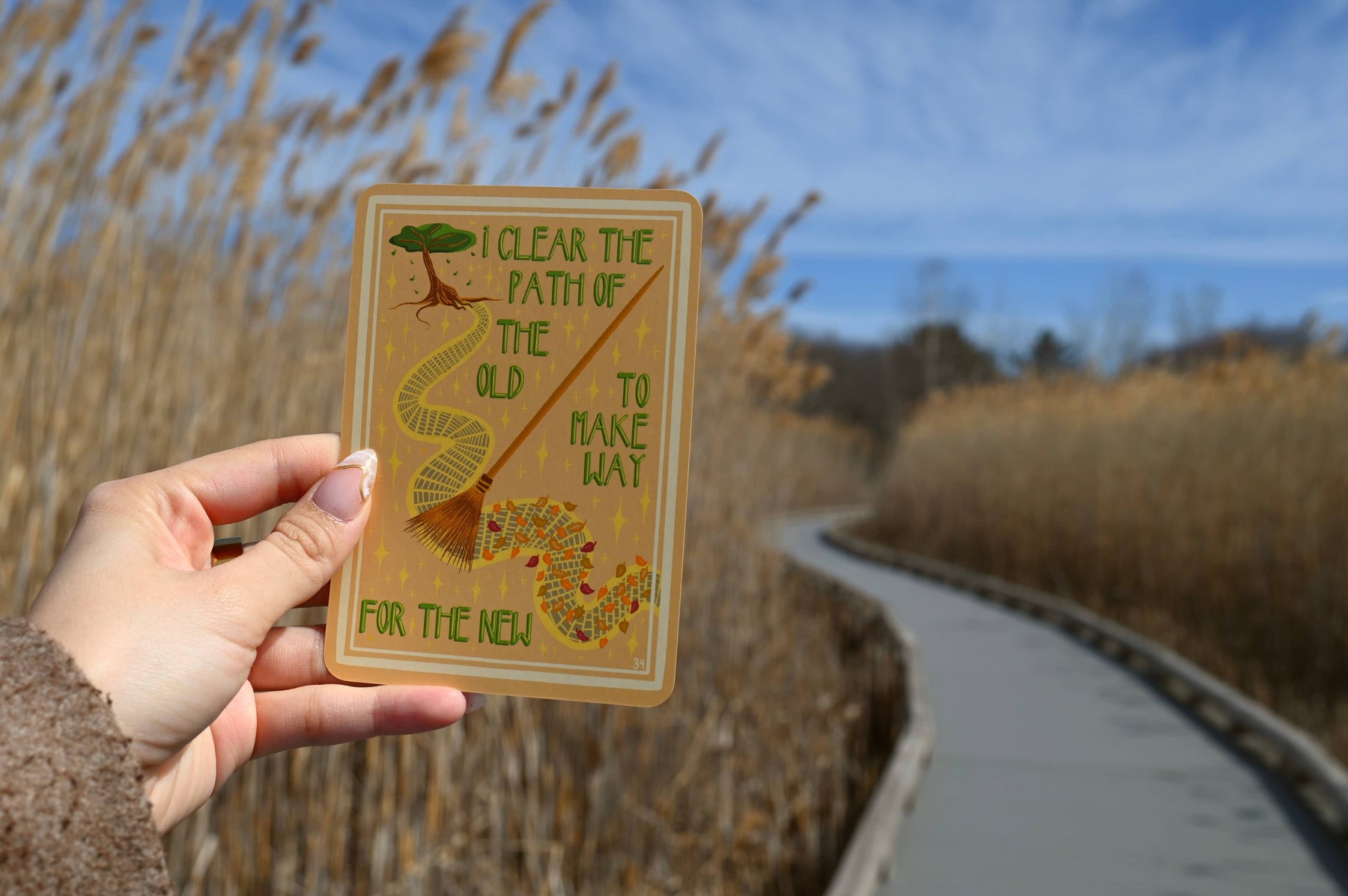 Red Wheel/Weiser LLC Stationery > Advice Cards Sun-Steeped: Affirmation Deck: 54 Cards & Guidebook 9781590035801