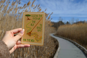 Red Wheel/Weiser LLC Stationery > Advice Cards Sun-Steeped: Affirmation Deck: 54 Cards & Guidebook 9781590035801