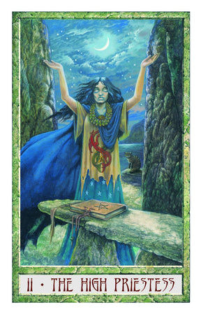 Red Wheel/Weiser LLC Tarot Cards The Druidcraft Tarot (78 Cards and 192 Page Guidebook) 9781590035221 9781590035221