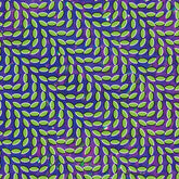 Redeye Distribution Music > Compact Discs Animal Collective - Merriweather Post Pavilion [CD] 801390021923 DOMI219.2