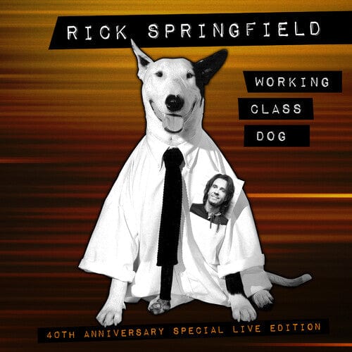 Rick Springfield Music > Vinyl Records Springfield, Rick - Working Class Dog (40th Anniversary Special Live Edition) 195729439863 SGVR40.1