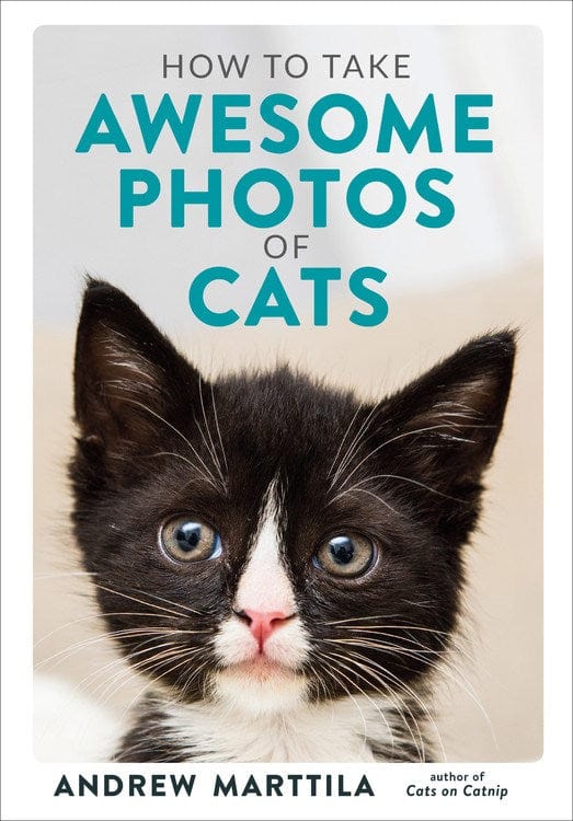 How to Take Awesome Photos of Cats (Hardcover)