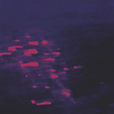 Sadness Music > Vinyl Records Sadness - Motionless Watching You 301660562021 FLDW55.1