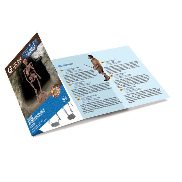 Safari, Ltd. Model Kits > Other Model Kits Geoworld: Cave Man Excavation Kit - Homo Neanderthalensis Skeleton 811170018340 102412