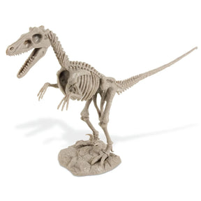 Safari, Ltd. Model Kits > Other Model Kits Geoworld: Dino Excavation Kit - Velociraptor Skeleton 8111700118116 102399
