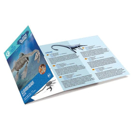 Safari, Ltd. Model Kits > Other Model Kits Geoworld: Sea Monsters Excavation Kit - Elasmosaurus Skeleton 811170018326 102411
