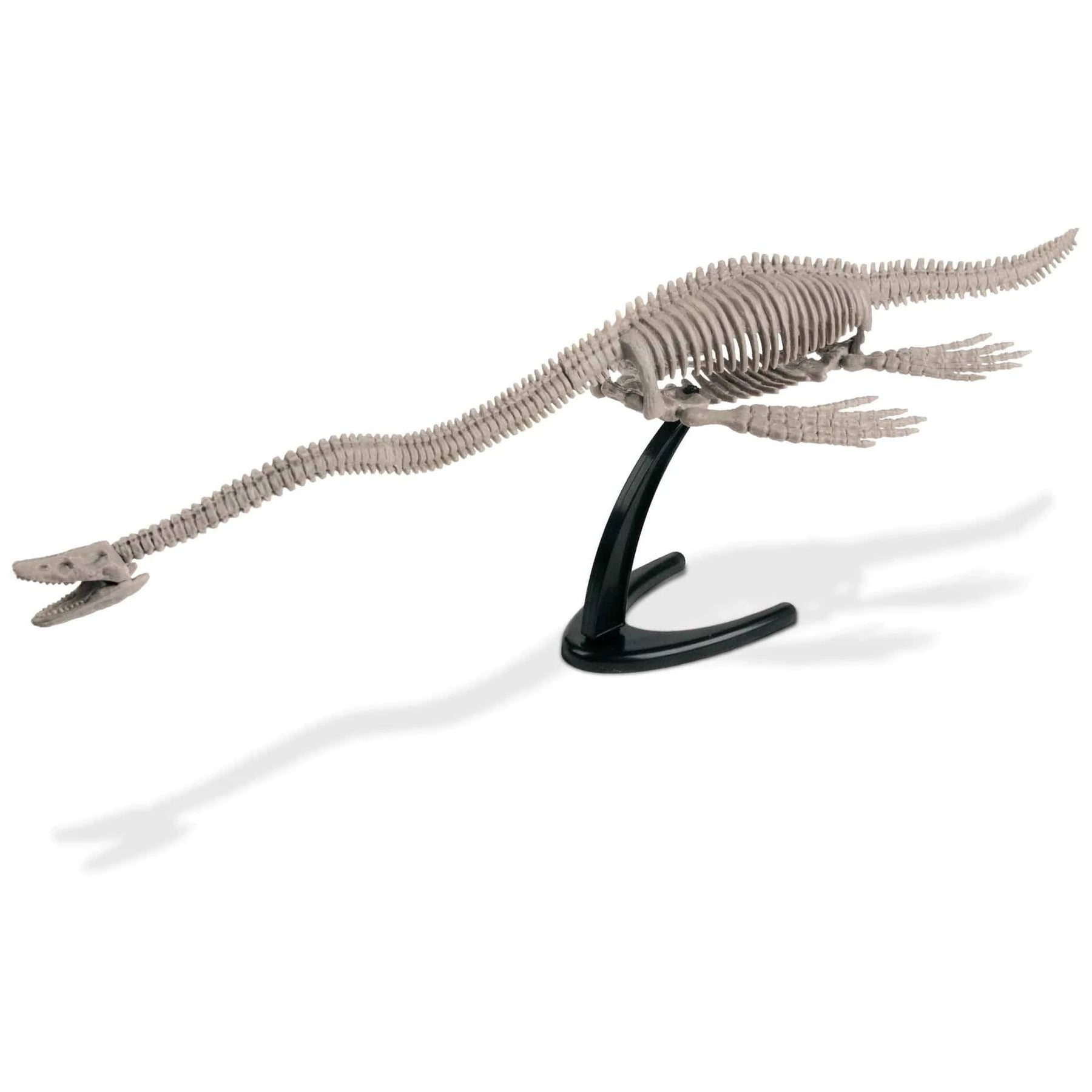Safari, Ltd. Model Kits > Other Model Kits Geoworld: Sea Monsters Excavation Kit - Elasmosaurus Skeleton 811170018326 102411