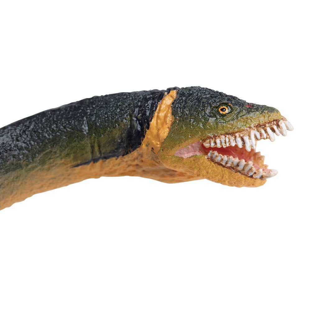 Safari Ltd. Puzzles > 3D Puzzles Safari Ltd - Elasmosaurus Figure 095866302405 302429