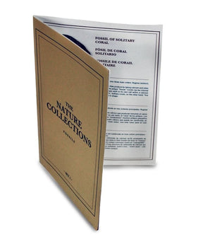 Geoworld: Nature Collections - Fossils Set #1