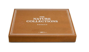 Geoworld: Nature Collections - Fossils Set #1