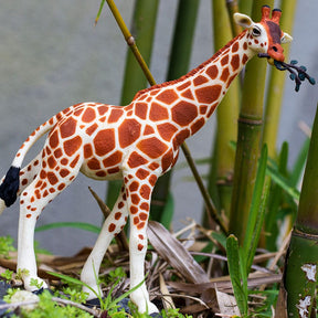 Safari, Ltd. Toys > Statues > Other Statues Reticulated Giraffe - 268429 95866268404 268429