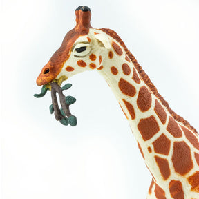Safari, Ltd. Toys > Statues > Other Statues Reticulated Giraffe - 268429 95866268404 268429