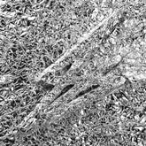 Say She She Music > Vinyl Records Say She She - Silver 674862662012 KACH12024C1.1