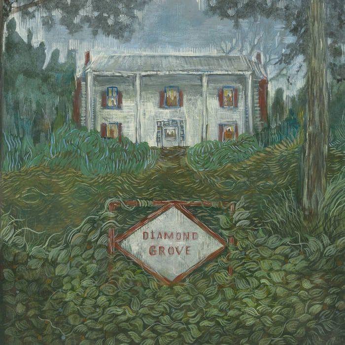 Secretly Distribution-Bwscd Music > Vinyl Records Weirs - Diamond Grove Vinyl 617308104349 DRFE64.1