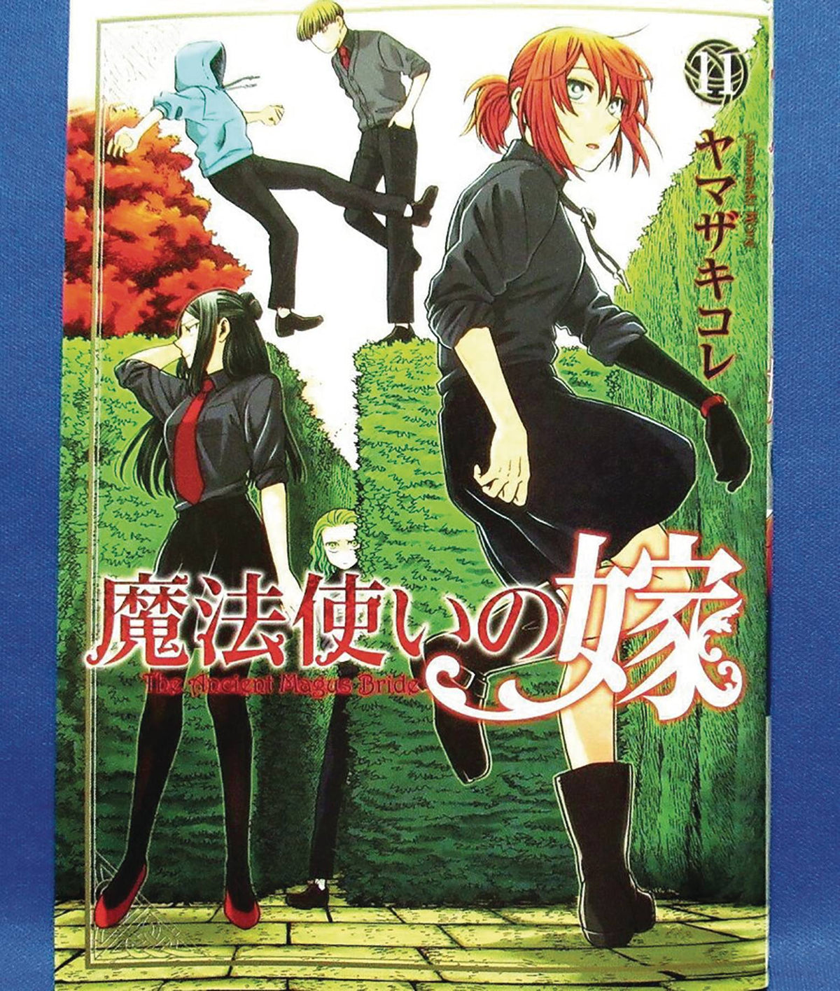 SEVEN SEAS ENTERTAINMENT Manga Ancient Magus Bride GN Vol 11 9781642751017 JUN192230