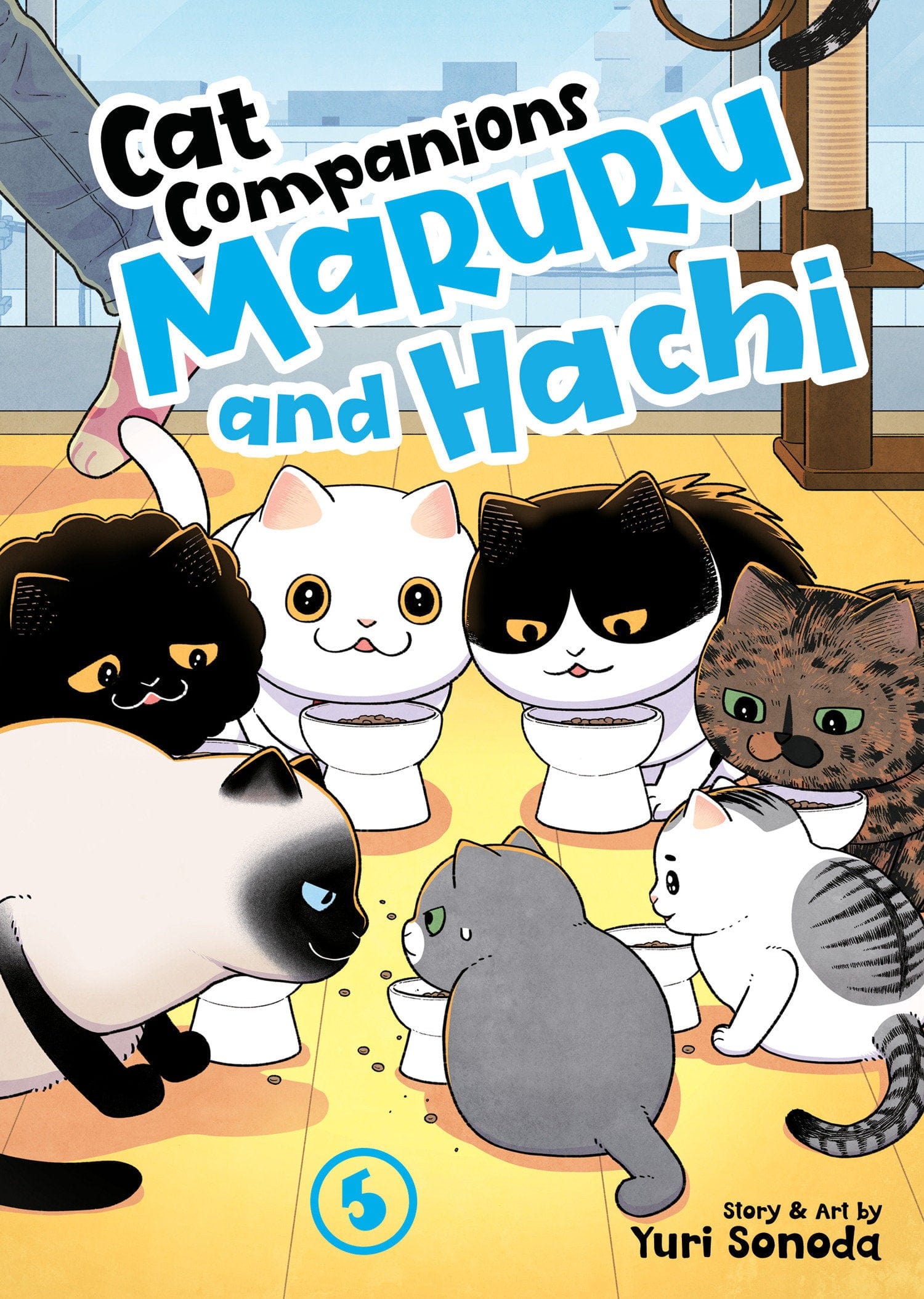 Seven Seas Entertainment Manga Cat Companions Maruru and Hachi Vol. 5 9798893735857 PRH-9798893735857