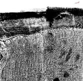 Sheherazaad Music > Vinyl Records Sheherazaad - Qasr (Clear Vinyl, Red, Limited Edition, Digital Download Card) 3700551785360 ERAT164A.1