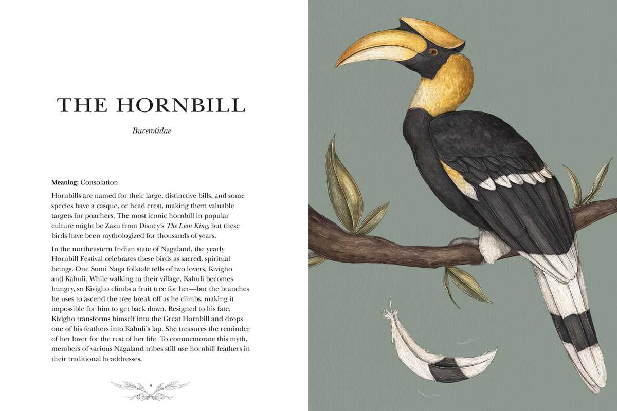 Simon & Schuster Books Ornithography by Jessica  Roux: Hardcover; 224 pages / English 9781524888770 9781524888770