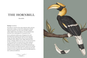 Simon & Schuster Books Ornithography by Jessica  Roux: Hardcover; 224 pages / English 9781524888770 9781524888770