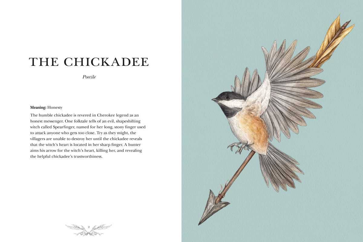 Simon & Schuster Books Ornithography by Jessica  Roux: Hardcover; 224 pages / English 9781524888770 9781524888770