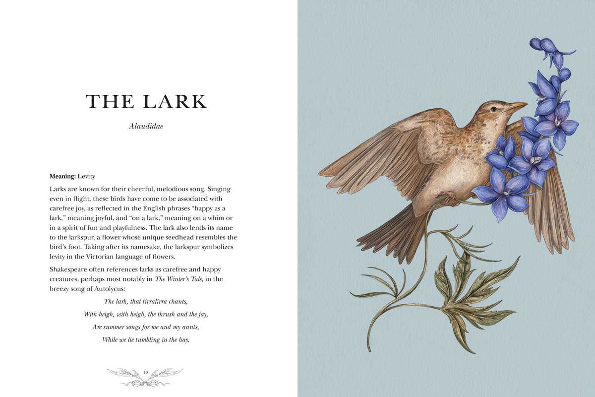 Simon & Schuster Books Ornithography by Jessica  Roux: Hardcover; 224 pages / English 9781524888770 9781524888770