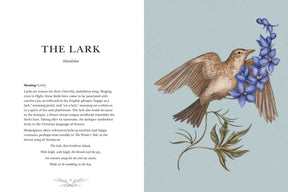 Simon & Schuster Books Ornithography by Jessica  Roux: Hardcover; 224 pages / English 9781524888770 9781524888770