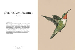 Simon & Schuster Books Ornithography by Jessica  Roux: Hardcover; 224 pages / English 9781524888770 9781524888770