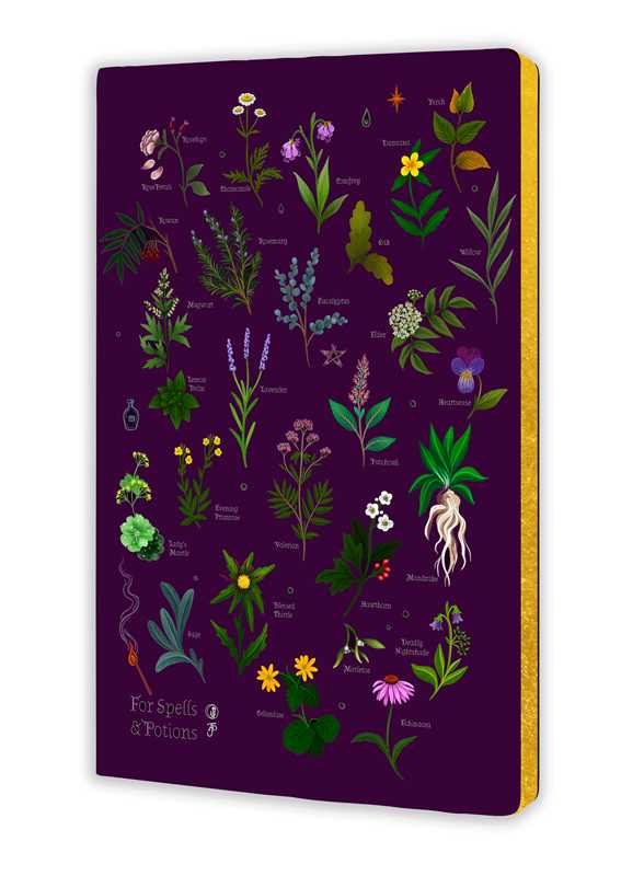 Simon & Schuster Journals Anna Stead: For Spells & Potions (Soft Touch Journal) 9781835627341 9781835627341