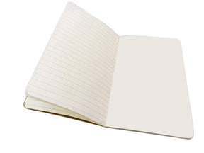 Simon & Schuster Journals Ashmolean Museum Set of 3 Mini Notebooks 9781804176412 9781804176412