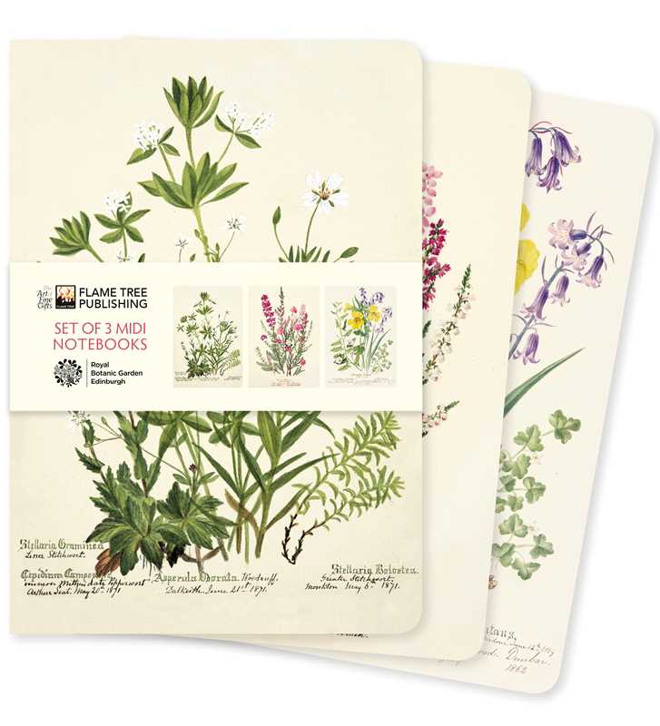 Simon & Schuster Journals Royal Botanic Garden Edinburgh Set of 3 Midi Notebooks 9781804177778 9781804177778