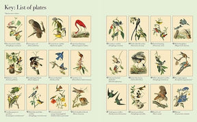 Sirius Publishing Books > Coloring Books The Audubon Birds Coloring Book 9781784286002
