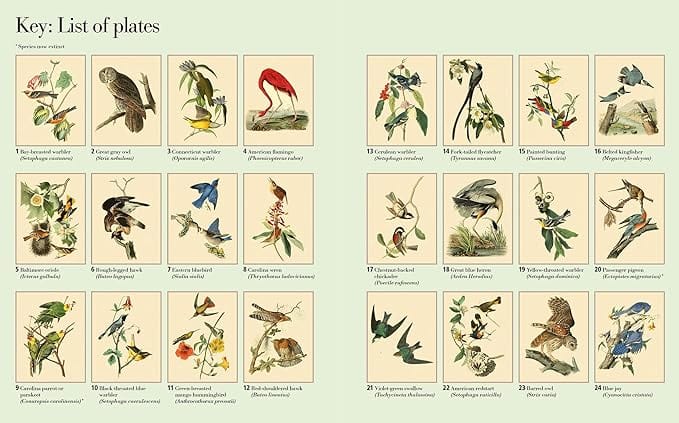Sirius Publishing Books > Coloring Books The Audubon Birds Coloring Book 9781784286002