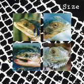 Size - Nadie Puede Vivir Con Un Monstruo (Blue Vinyl)