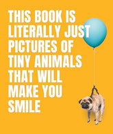 Smith Street Books Books This Book Is Literally Just Pictures of Tiny Animals That Will Make You Smile 9781922754578 9781922754578