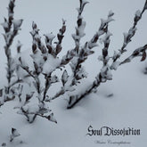 Soul Dissolution - Winter Contemplations