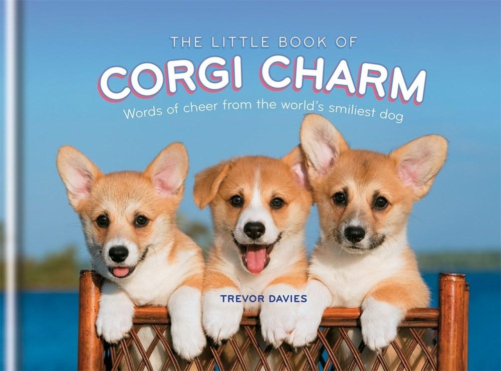 Spruce Books > Art & Gifts > Pets Little Book of Corgi Charm: Words of Cheer from the World's Smiliest Dog - Hardcover 9781846014765 MC-18907