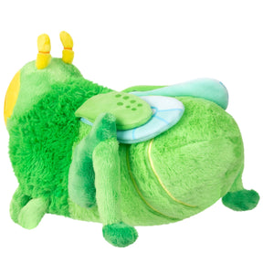 Squishable Toys > Plushies Mini Squishable Grasshopper 841024124736 SQU-124736